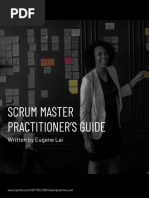 Scrum Master Practitioner's Guide