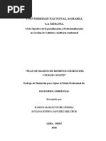 Tesis "Plan de Manejo de Residuos Sólidos Del Colegio Avante.