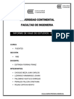 Informe de Análisis de Puentes en Junin