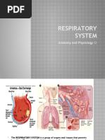 Respiratory System: Anatomy and Physiology