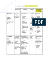 Cuadro de Anatomia