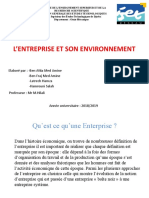 L'entreprise Et Son Environnement