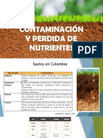 Perdida de Nutrientes PDF