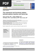 2013 A Stecco - The Anatomical and Functional Relation Between Gluteus Maximus and Fascia Lata.