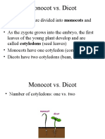 Monocot vs. Dicot: Dicots