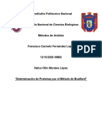 Informe Bradford