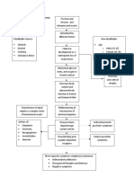 Psychopathology of Schizophrenia (Theoretical)