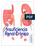 Enfermedad Renal Cronica - Pae