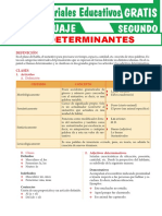 Los Determinantes