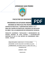 Informe PPP