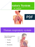 Respiratory System