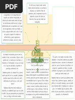 Actividades Integradoras Organizador Visual