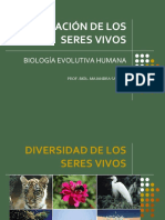 Clasificación de Los Seres Vivos