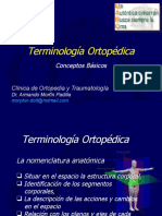 Terminología Ortopédica