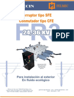 Sfe Cfe Version 2019 PDF