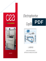 Electrophorèse Capillaire - Version Imprimable