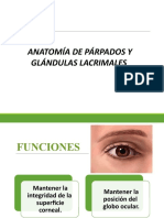 Anatomía de Párpado y Gl. Lagrimal