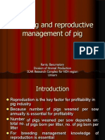 Breeding and Reproductive Management of Pig