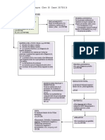 Juicio Oral Esquema