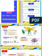 ORGANOGRAFÍA VEGETAL II 1ro