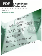 Conjuntos Numeì - Ricos y Espacios Vectoriales