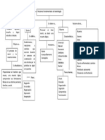 Mapa Conceptual de Tanatolgia Proceso de Muerte