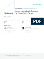 Assessment of Unconventional Shale Reservoir, The Fegaguira FM, Chotts Basin, Tunisia