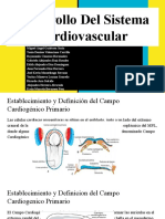 Desarrollo Del Sistema Cardiovascular