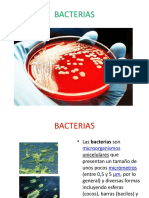 Bacterias y Col Gram