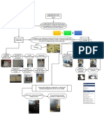 Proceso de Fabricacion de Envases Biodegradables de Caña de Azucar