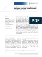 Differential Heme Release From Various Hemoglobin