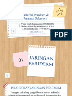 Jaringan Periderm Dan Jaringan Sekretori Kelompok 8