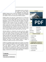 Dolphin PDF