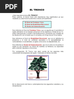 Test Del Árbol - Indicadores