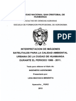 IMAGEN SATELITAL - Calidad Ambiental Urbana PDF