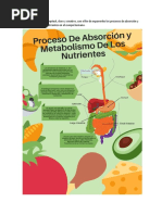 Actividad 2 - Evidencia 3. Documento "Recomendaciones Alimentarias"