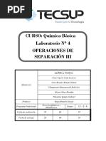 Informe 4 Básica PDF