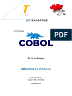 Cobol Process PDF