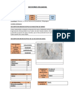 Ficha de Secciones Delgadas M3