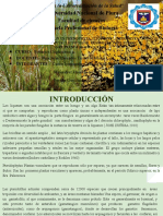 DIVISIÓN LYCHENOPHYTA "LÍQUENES", BRYOPHYTA "MUSGOS Y HEPÉTICAS" Y PTERIDOPHYTA "LICOPODIOS, EQUISETOS Y HELECHOS" p09 y p10