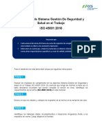 DT - 112 - 2020 - Tarea Iso 45001