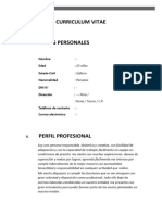 Curriculum Vitae