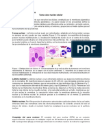 Tarea ElNucleo AlzateSebastian