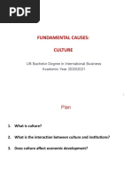 Fundamental Causes: Culture: UB Bachelor Degree in International Business Academic Year 2020/2021