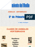 Animales Vertebrados