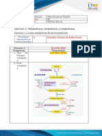 Tarea 4