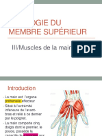 3-Muscles de La Main