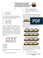 Cargas Electricas Preguntas-1