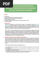 IV, VIII y IX Pleno Casatorio Civil Nulidad y Restitución de La Posesión en Solo Un Proceso Sumario