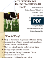 Use of Whey in Controlling Calf Diarrhoea